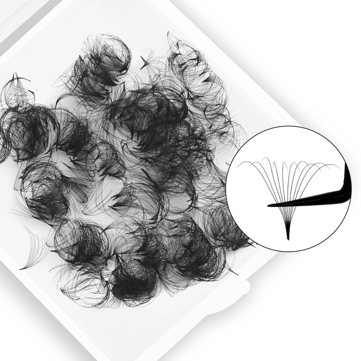 10D Premade Loose Fans in a tray, Black color, pointy base, perfect for volume eyelash extensions