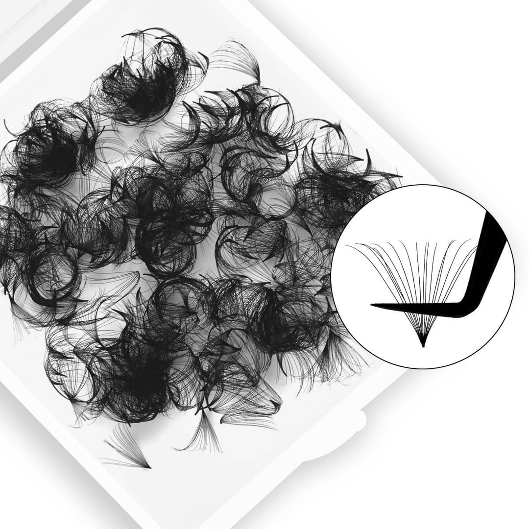 16D Premade Loose Fans in a tray, black color, pointy base, for professional eyelash extensions, volume lashes.