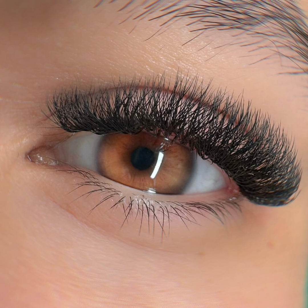 Close-up of an eye with W-Shape 5D Premade Volume Fan Lashes, showcasing full, voluminous and natural-looking lashes.