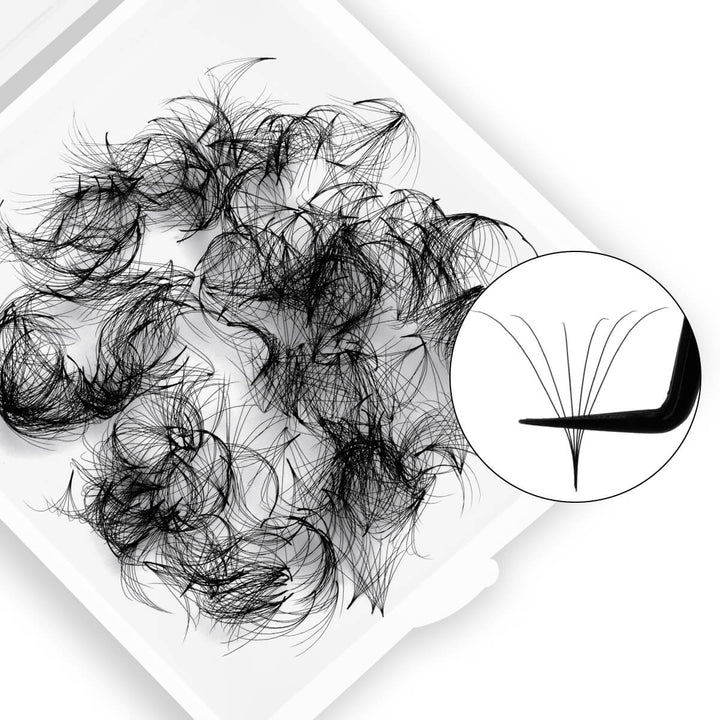 6D premade volume fans with pointy base, black color, perfect for professional lash extensions