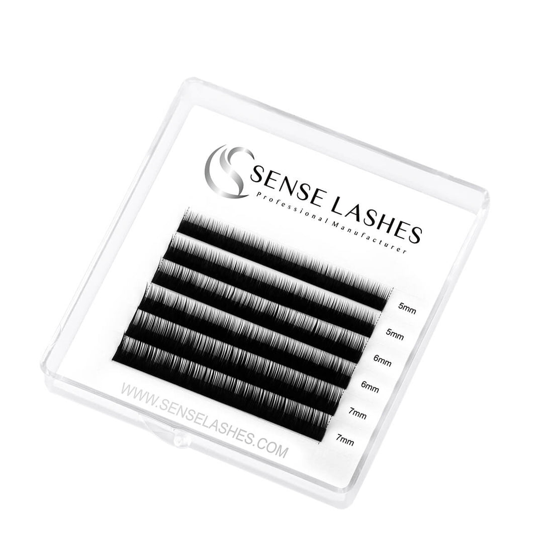 Sense Lashes B curl bottom eyelash extensions in a clear case. 5mm, 6mm, and 7mm lengths. Professional lash products.