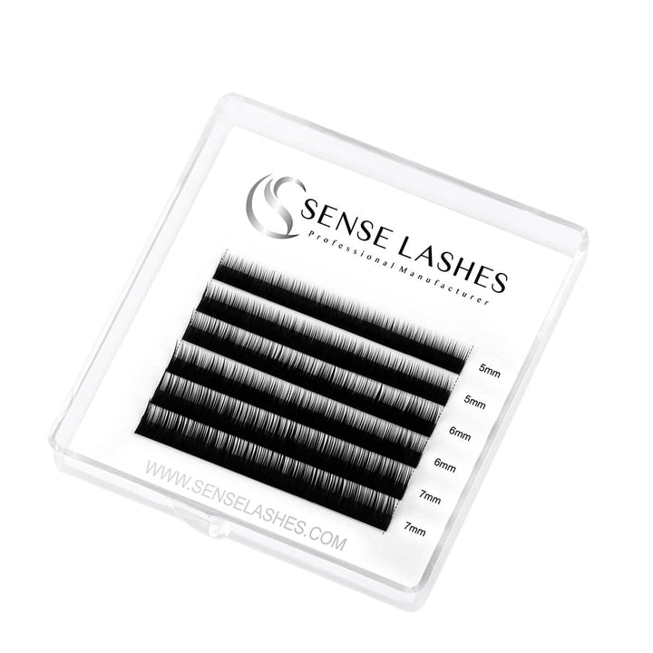 Sense Lashes B curl bottom eyelash extensions in a clear case. 5mm, 6mm, and 7mm lengths. Professional lash products.