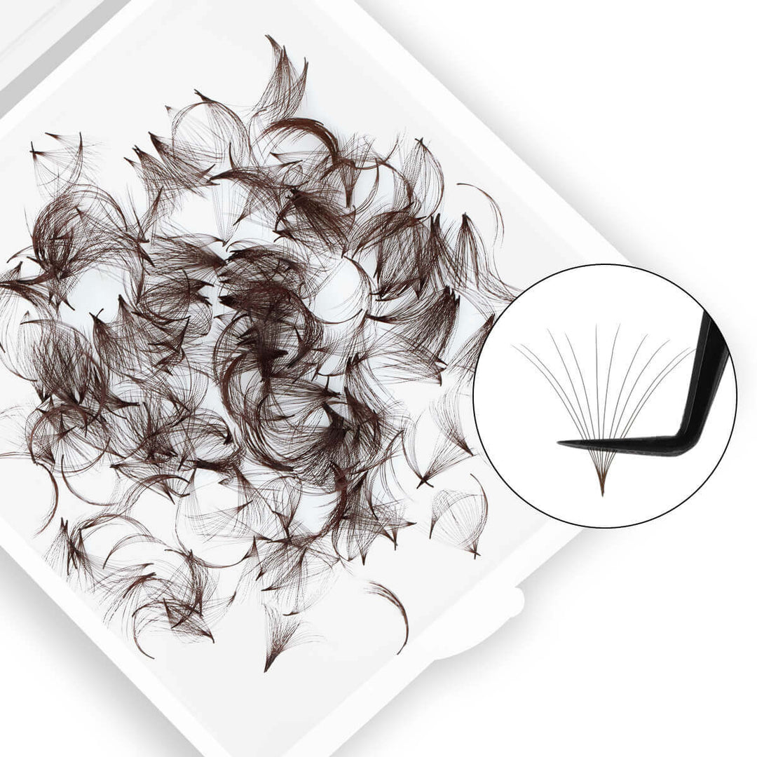 Brown 12D premade loose fans, 0.05mm diameter. High-quality Korean PBT material, perfect for volume eyelash extensions.