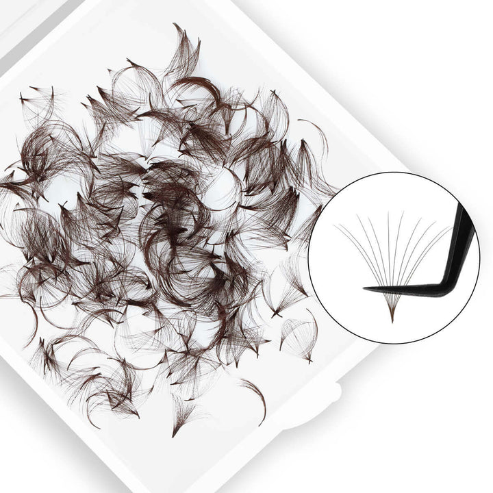 Brown 12D premade loose fans, 0.05mm diameter. High-quality Korean PBT material, perfect for volume eyelash extensions.