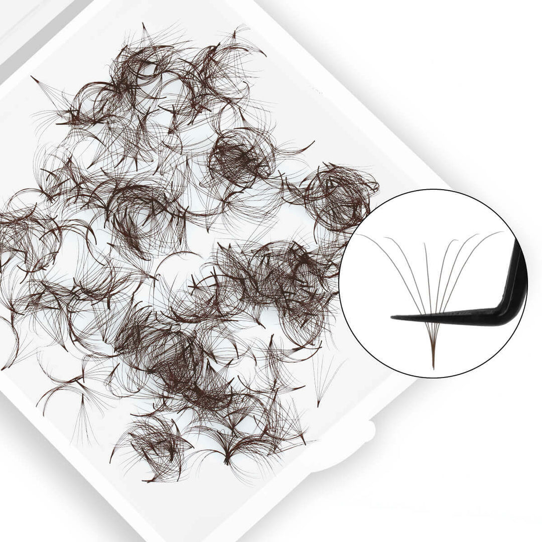 Brown 6D Premade Volume Lash Fans 0.07 by SenseLashes. Professional-grade eyelash extension product for lash artists.