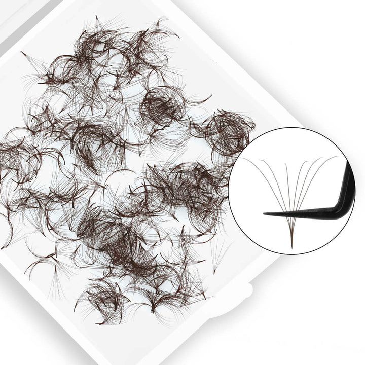 Brown 6D Premade Volume Lash Fans 0.07 by SenseLashes. Professional-grade eyelash extension product for lash artists.