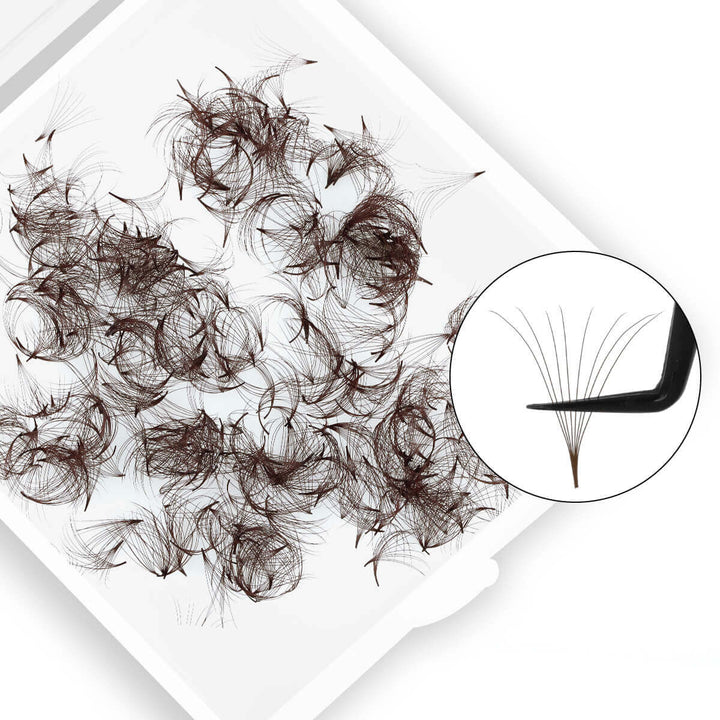 Brown premade lash fans 0.07mm diameter, C/D curl, ideal for volume lash extensions, made with premium Korean PBT material.