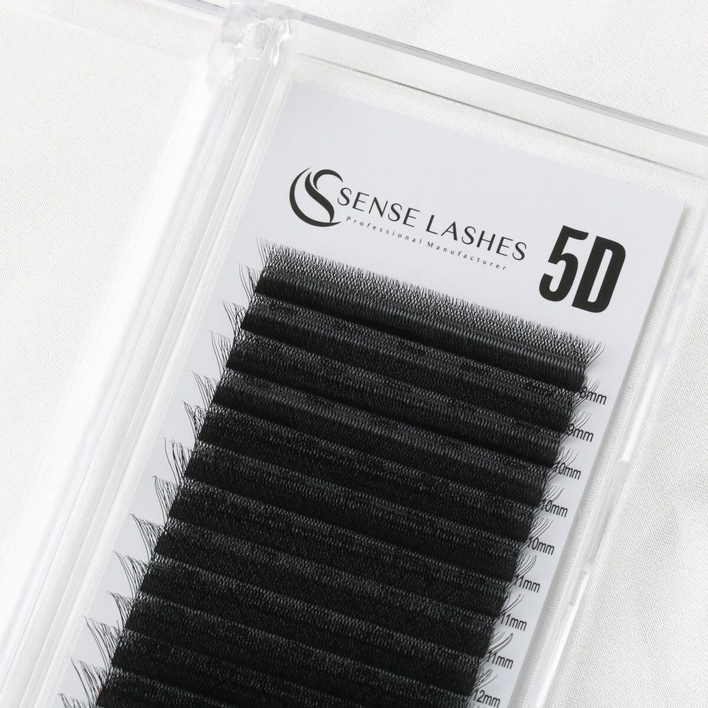 Sense Lashes 5D false eyelashes in a clear case, featuring various lengths for professional application.