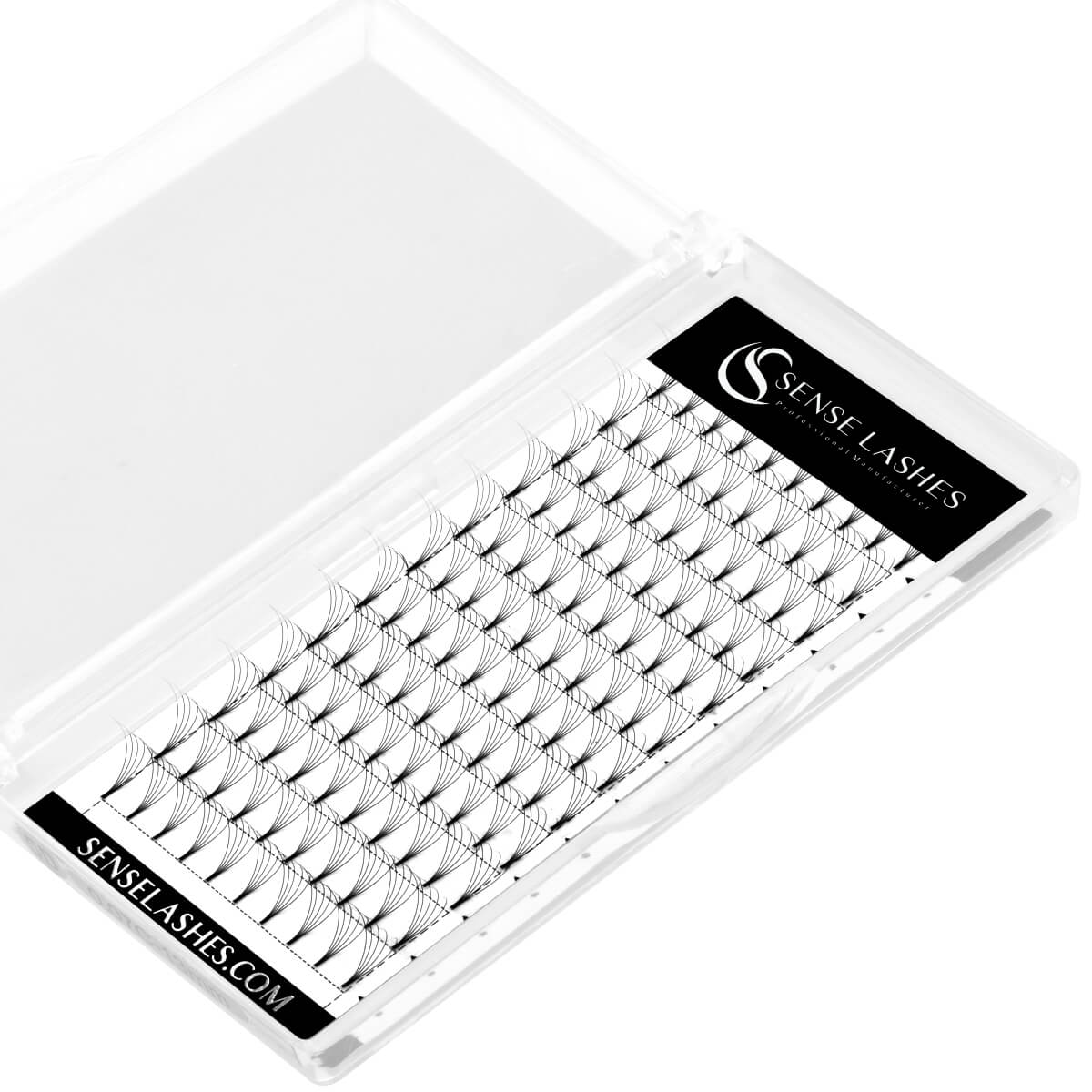 Seamless Aesthetics: Comparing Base Visibility in Volume SetsBase
