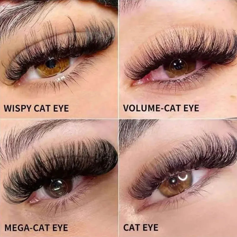 Grid of four eye close-ups labeled Wispy Cat Eye, Volume Cat Eye, Mega Cat Eye, and Cat Eye.