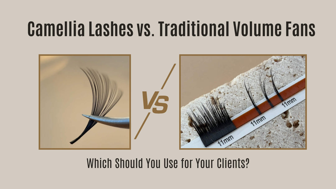 Camellia Lashes vs. Traditional Volume Fans: Which Should You Use for Your Clients?
