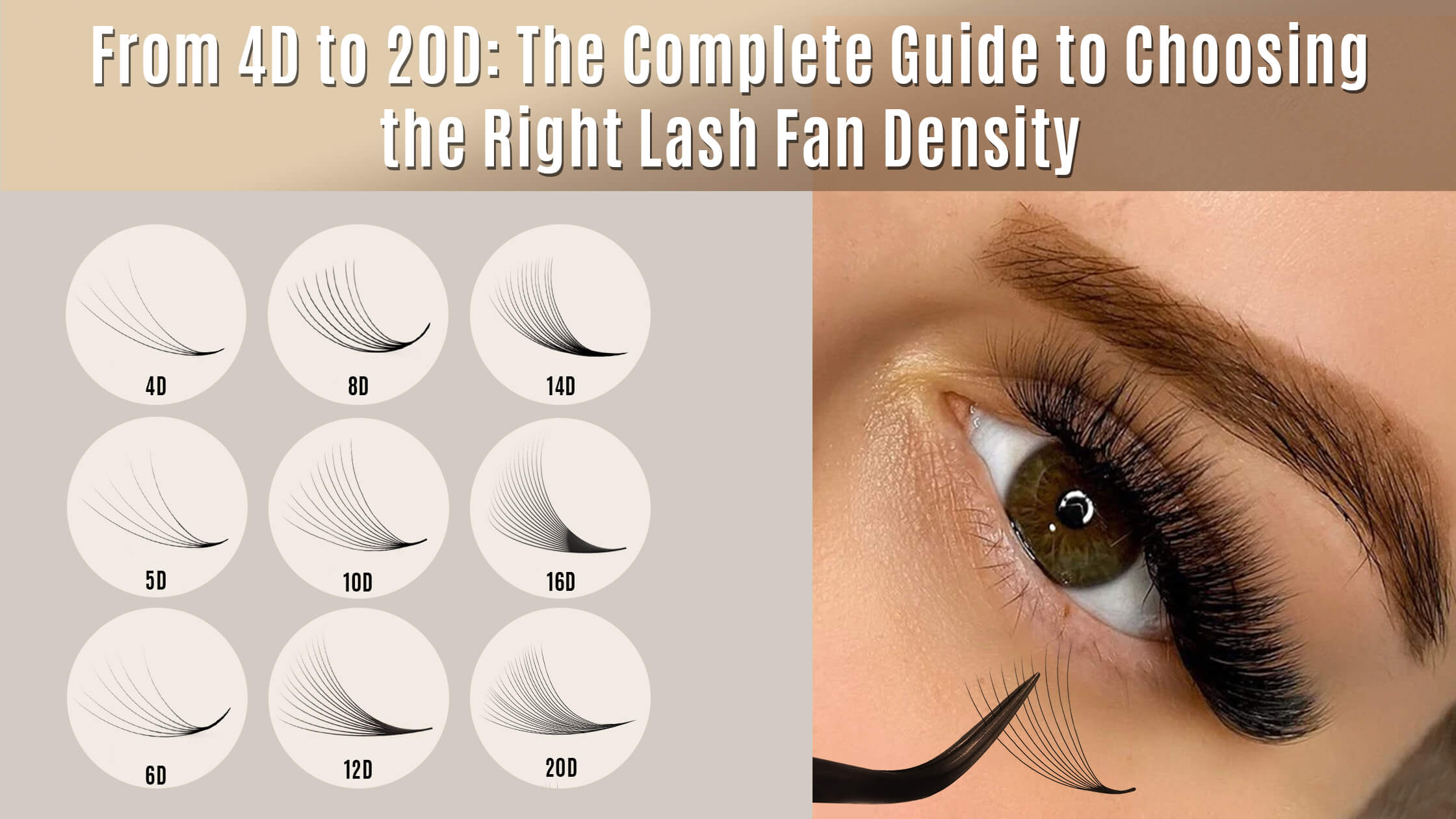 SENSELASHES lash fan density guide graphic showing 4D to 20D lash fan examples beside a close-up of volume lash extensions being applied to an eye.