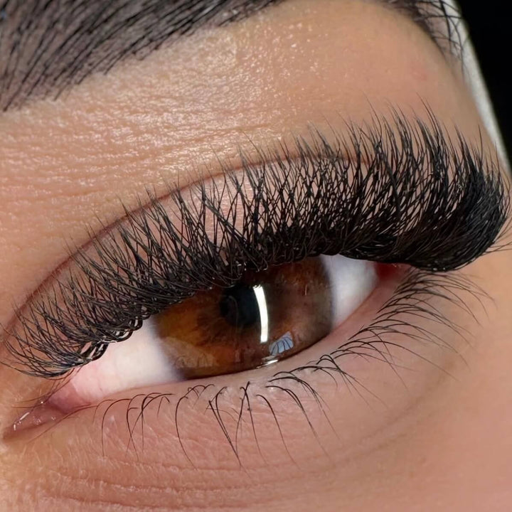 Close-up of an eye with W Shape 4D Premade Volume Fan Lashes, showcasing full, voluminous lashes.
