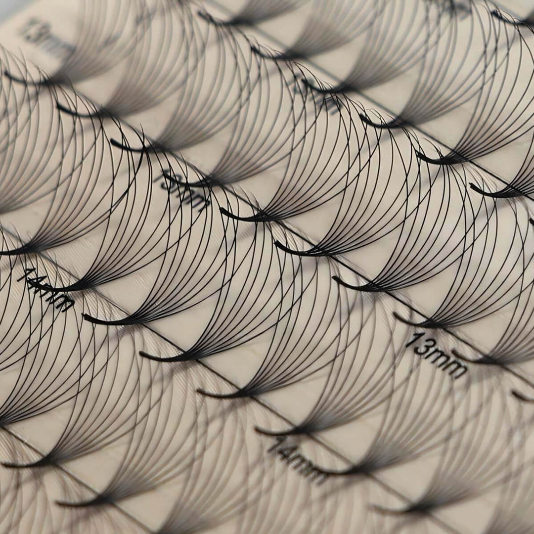 8D Promade Volume 500 Fans Lashbook