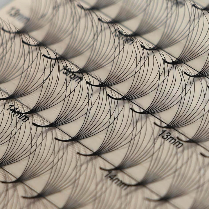 8D Promade Volume 500 Fans Lashbook