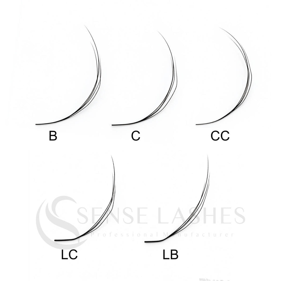 Arabian Effect W Shaped Lash Extensions