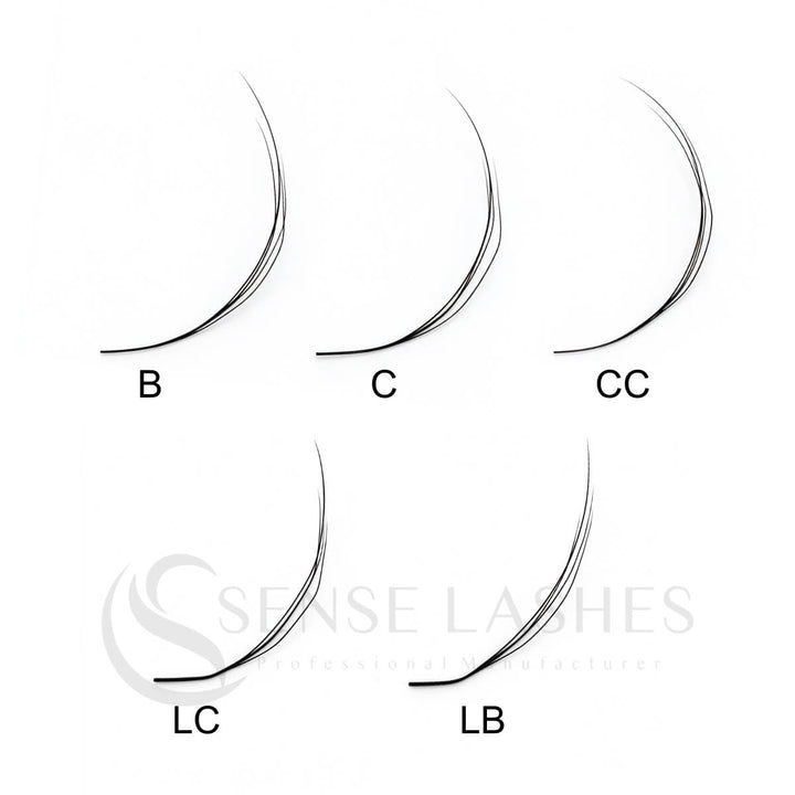 Arabian Effect W Shaped Lash Extensions