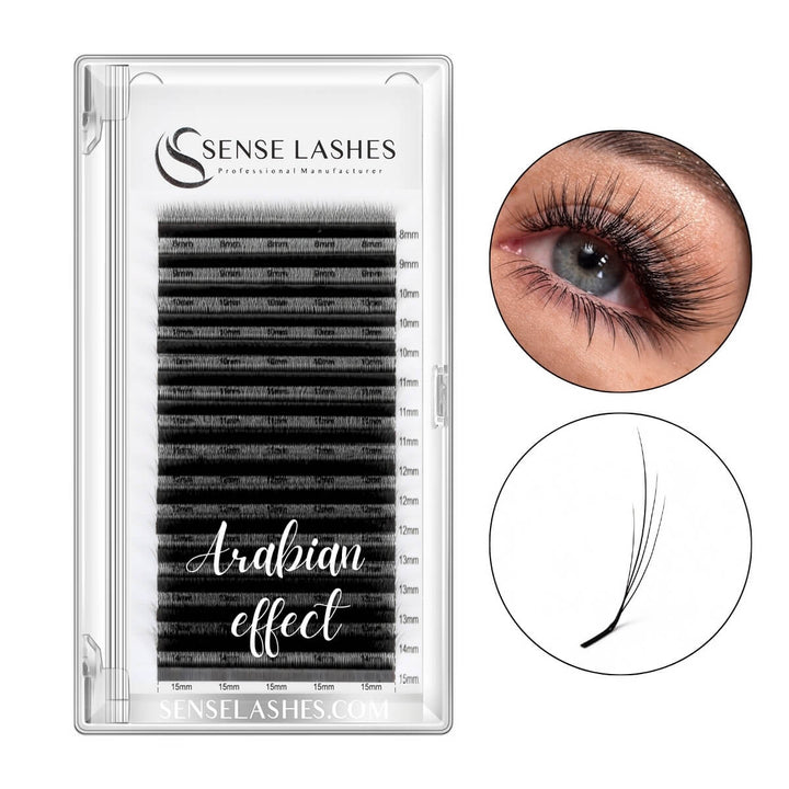 Arabian Effect W Shaped Lash Extensions