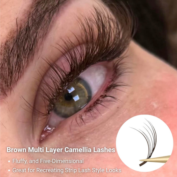 5D Dark Brown Multi Layer Camellia Lashes