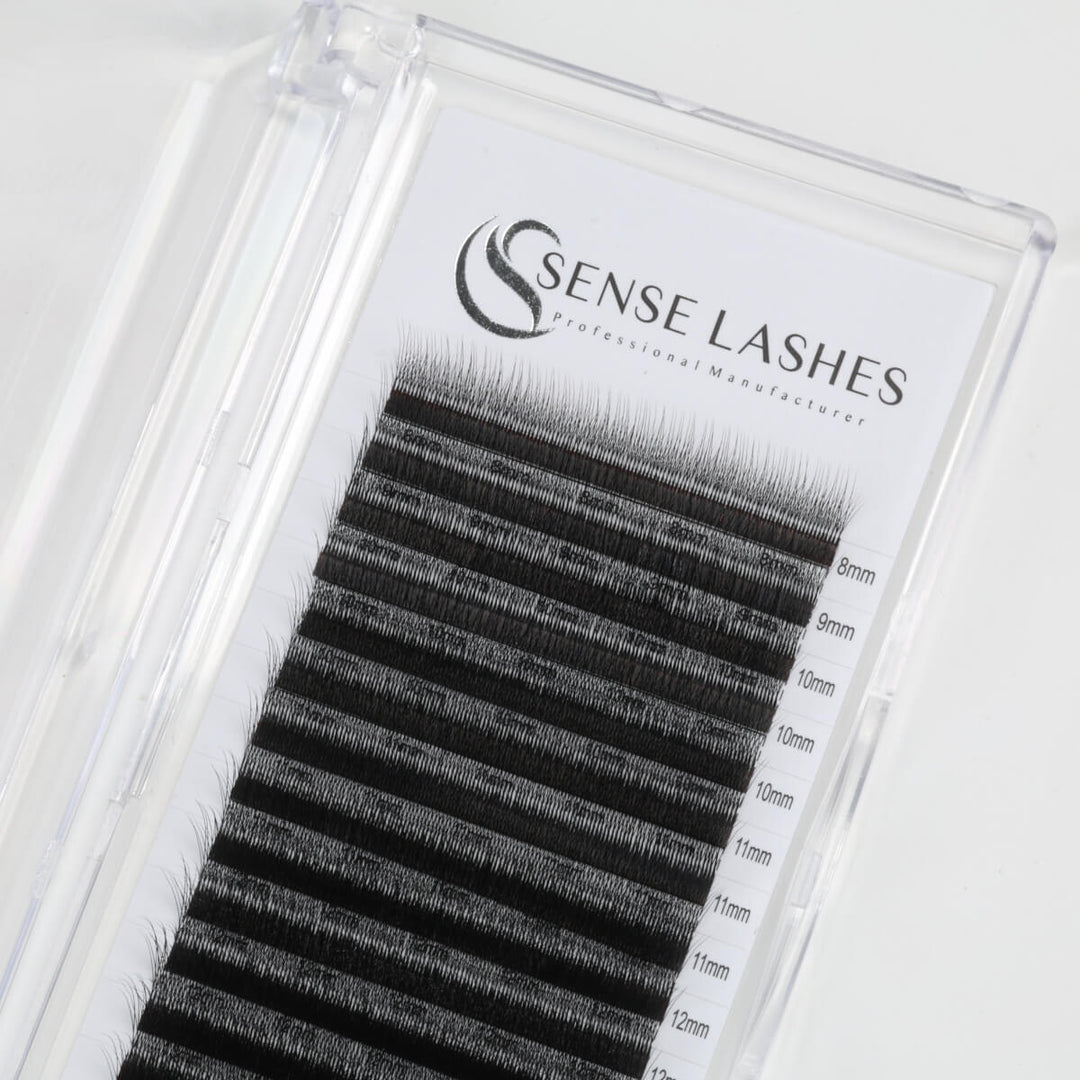 Arabian Effect W Shaped Lash Extensions