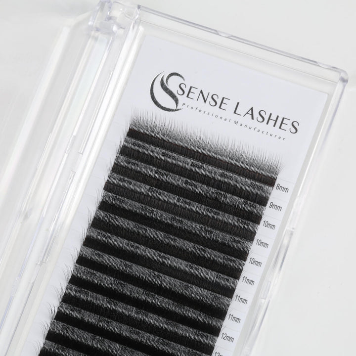 Arabian Effect W Shaped Lash Extensions