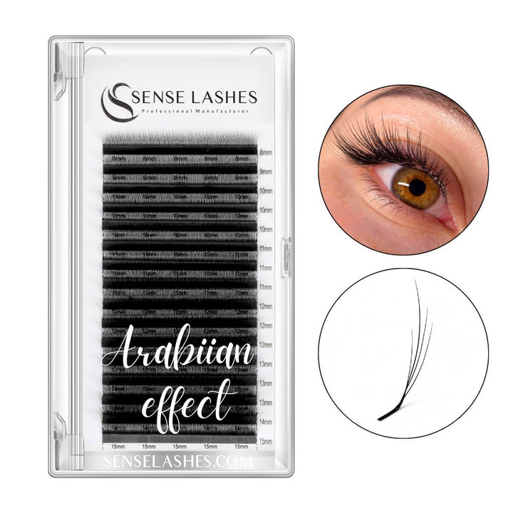 Arabian Effect W Shaped Lash Extensions