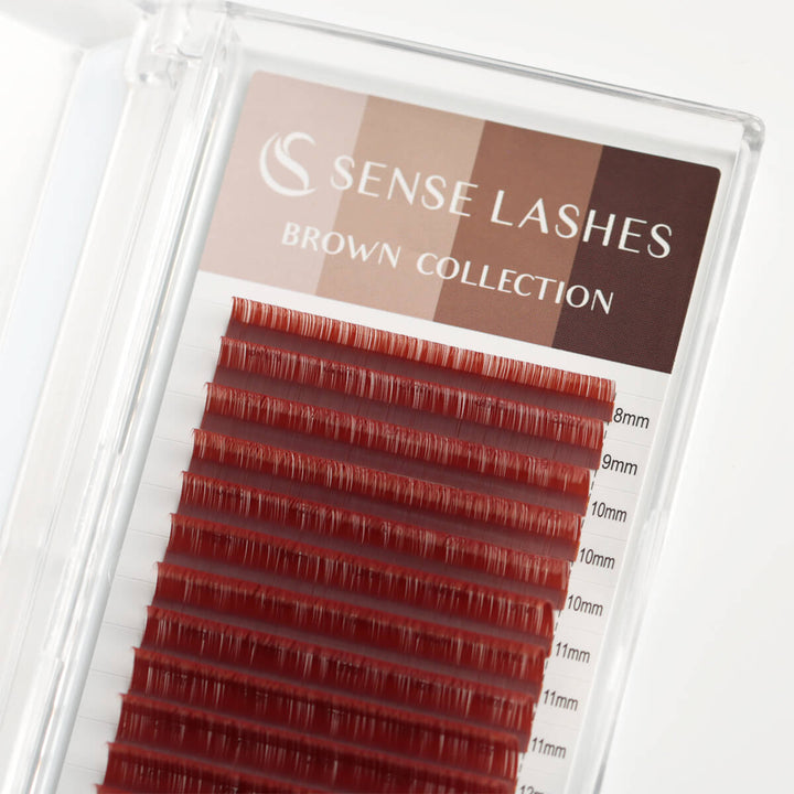 Chestnut Dark Cocoa Matte Brown Lashes in a tray labeled 'Sense Lashes Brown Collection' with lengths marked 8mm to 11mm.