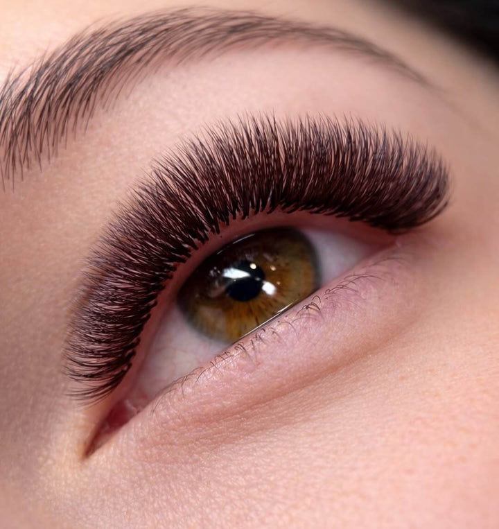 Close-up of eye with burgundy matte brown eyelash extensions, soft volume lashes