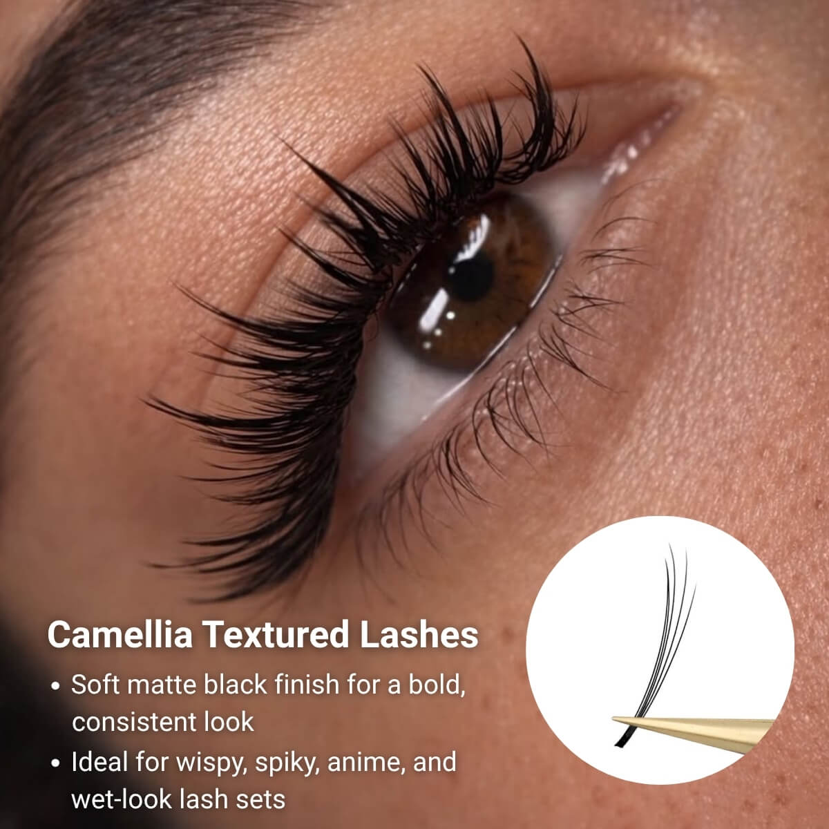 thought lash ２枚 Camellia Textured Lashes | Wispy Lash Extensions - SenseLashes