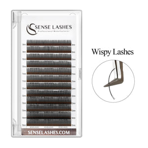 0.07mm Cashmere Wispy Eyelash Extensions by SenseLashes. Professional lash extensions for Kim K and wet lash looks.