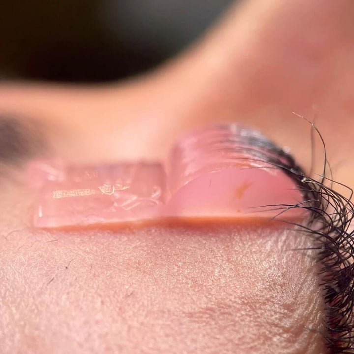 Cat Lash Lift Shields