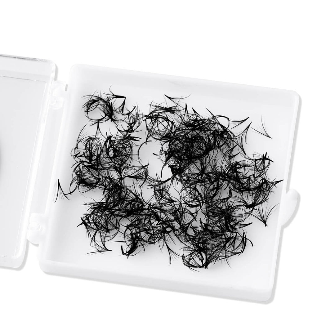 Fast Wispy 7D Premade Fans in Tray for Eyelash Extensions