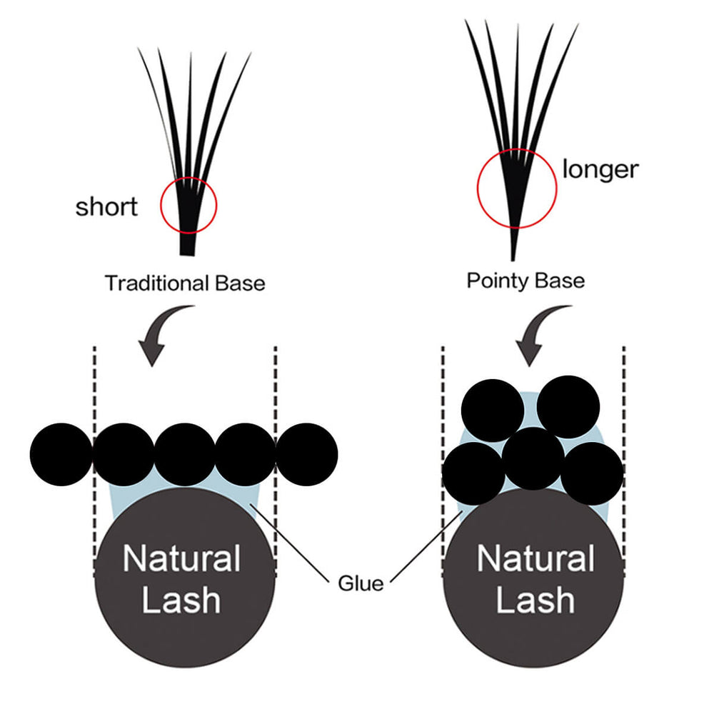 Pointy base vs traditional base lash fans comparison 