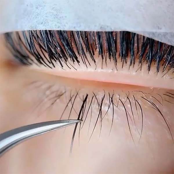 Tweezers applying individual Bottom Lash Extensions to a client's lower lash line.