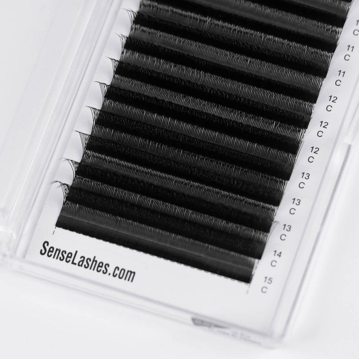 Narrow 3D W Eyelash Extension