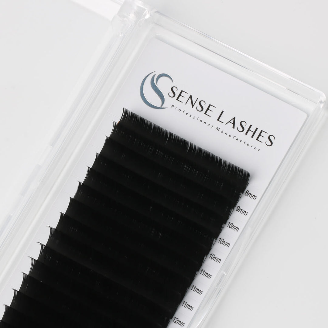 SENSE LASHES professional black lash extensions in a tray, available in various lengths (8-12mm) for diverse styling.