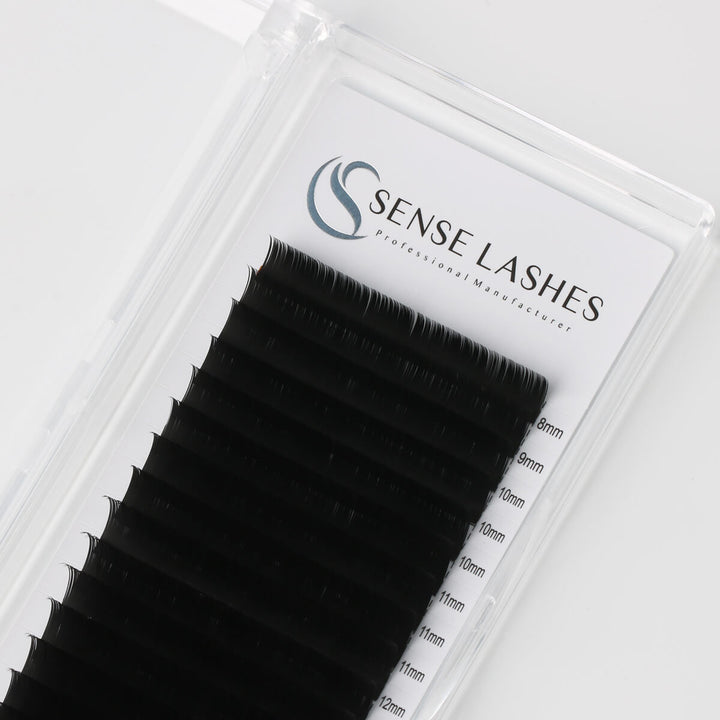 SENSE LASHES professional black lash extensions in a tray, available in various lengths (8-12mm) for diverse styling.
