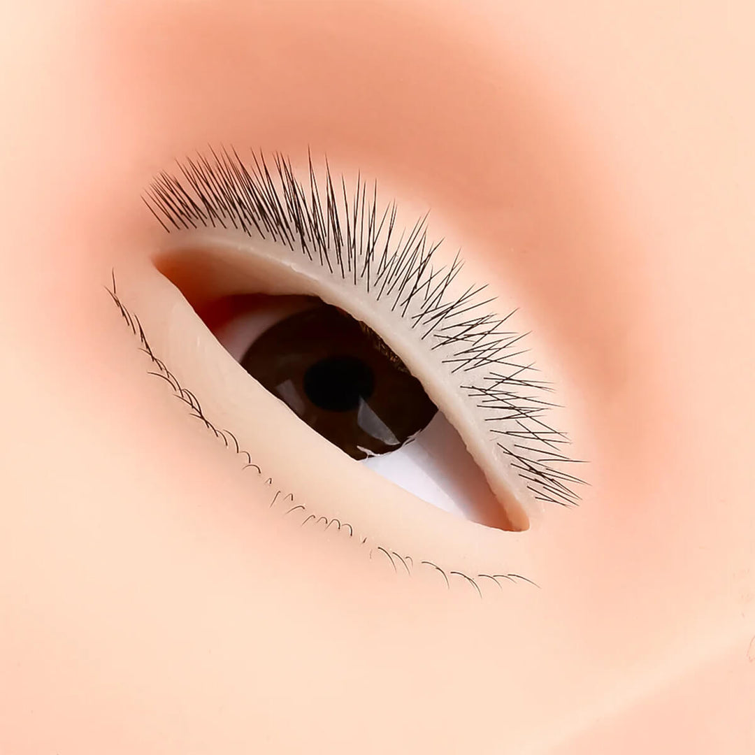 Close-up of the realistic lashes on a silicone mannequin head for eyelash extension practice.