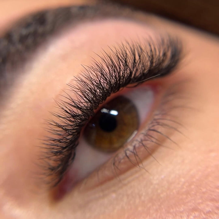 Close-up of eye with long, voluminous 3D premade volume fan eyelash extensions