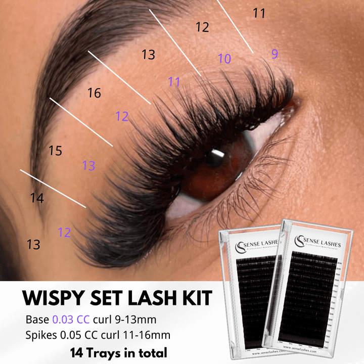 Wispy Volume Lash Kit for lash artists, with lash extensions trays, eyelash set.