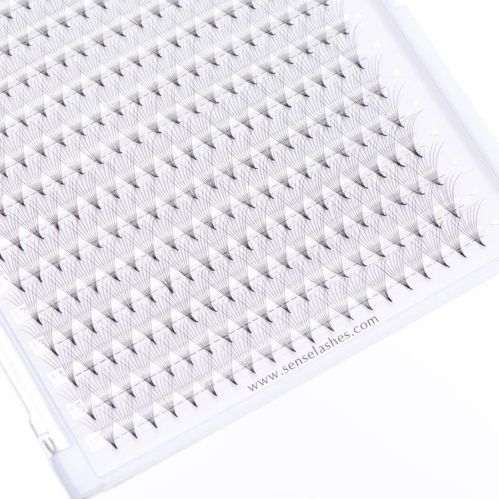 SENSELASHES premade volume fans in tray, eyelash extensions for professionals 